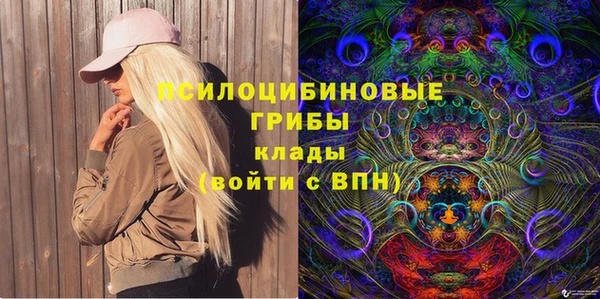 ешки Абинск